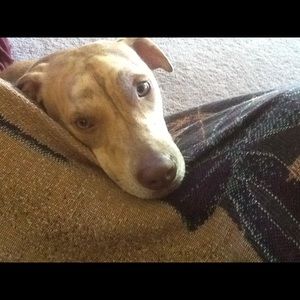 Meet your Posher, Marc